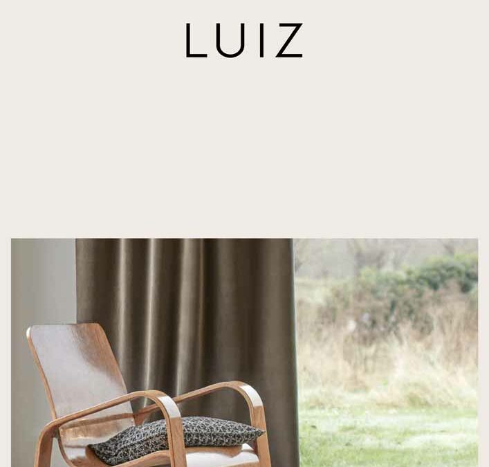LUIZ 2022